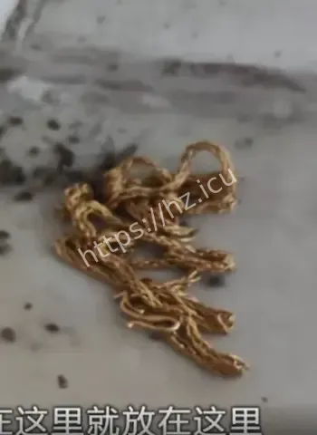 邻居捡金项链交给保安